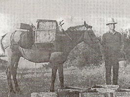 3η Συνάντηση πολιτιστικών Φορέων